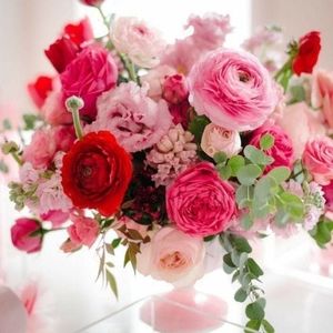 Reasonable Offers Welcome 💐🛍